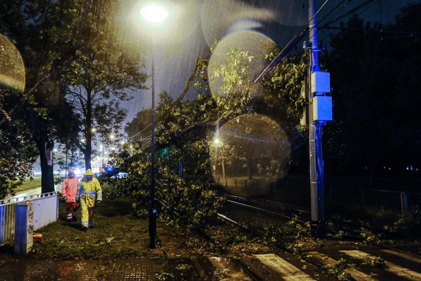 Warszawa, 30.08.2020. Drzewo spadło na tory tramwajowe na Woli, po gwałtownej burzy, która przeszła wieczorem nad Warszawą, 30 bm. (mr) PAP/Mateusz Marek