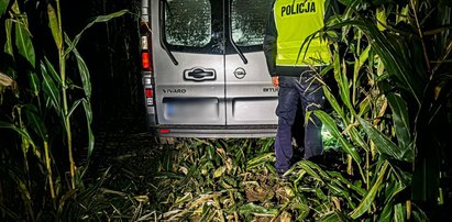 Siemiatycze: Pościg zakończył się w kukurydzy. Złapano kierowców przewożących imigrantów