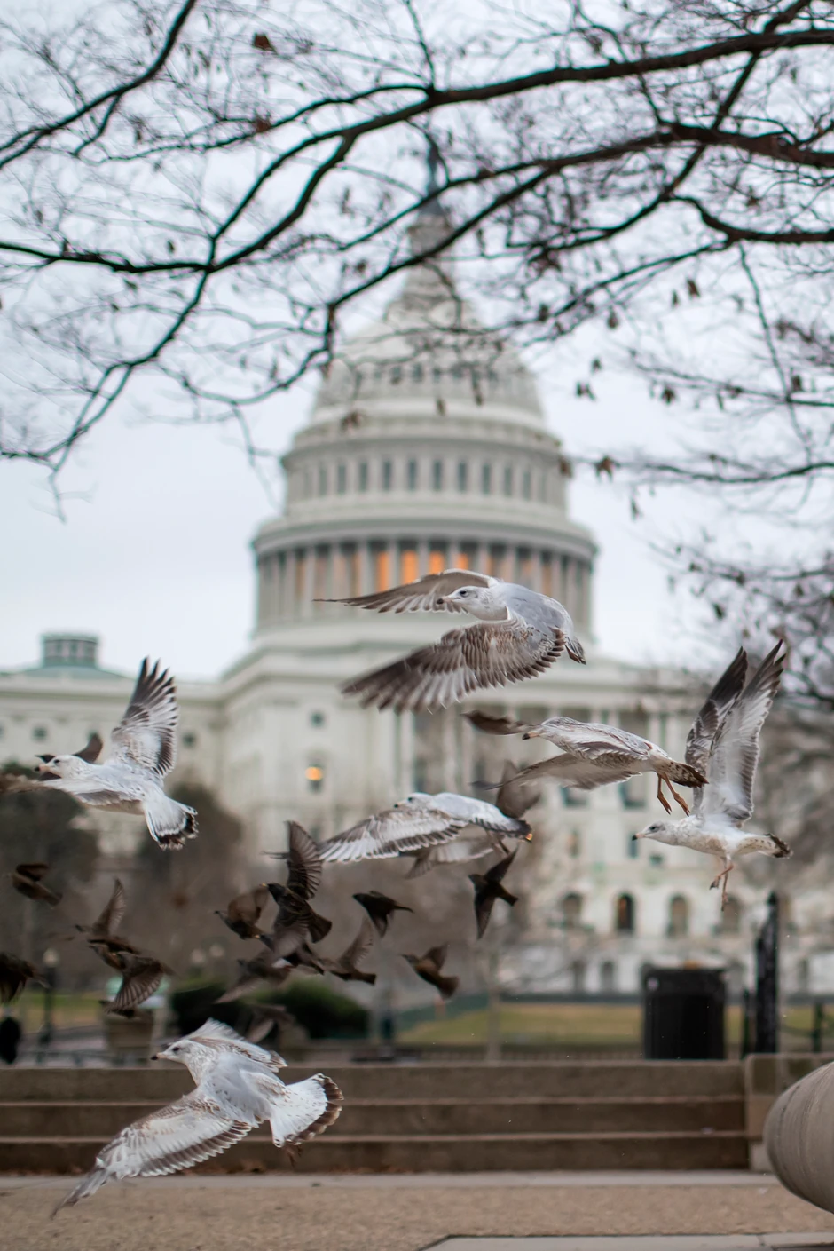 Zgrada američkog Kongresa