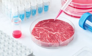 Czy wyhodowane w laboratorium mięso można nazywać mięsem? [WYWIAD]