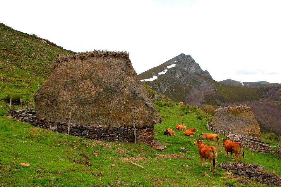 Rezerwat Somiedo z tradycyjnymi teito dla pasterzy