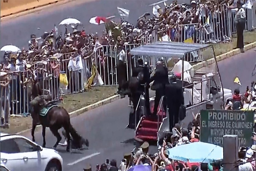 Policjantka spadła z konia