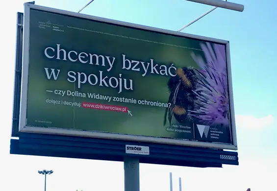 "Chcemy mieć mokro", "kochaj, nie rżnij", "chcemy bzykać w spokoju". Nowa kampania ochrony przyrody