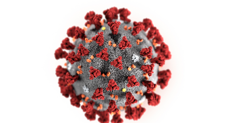 This illustration provided by the Centers for Disease Control and Prevention in January 2020 shows the 2019 Novel Coronavirus (2019-nCoV). This virus was identified as the cause of an outbreak of respiratory illness first detected in Wuhan, China. (Centers for Disease Control and Prevention via AP)