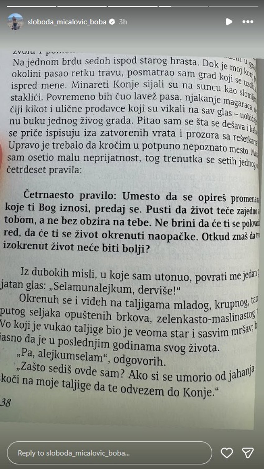 Sloboda Mićalović, objava