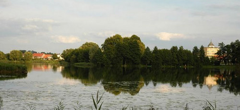 Święto Ogórka w Kaliszu Pomorskim