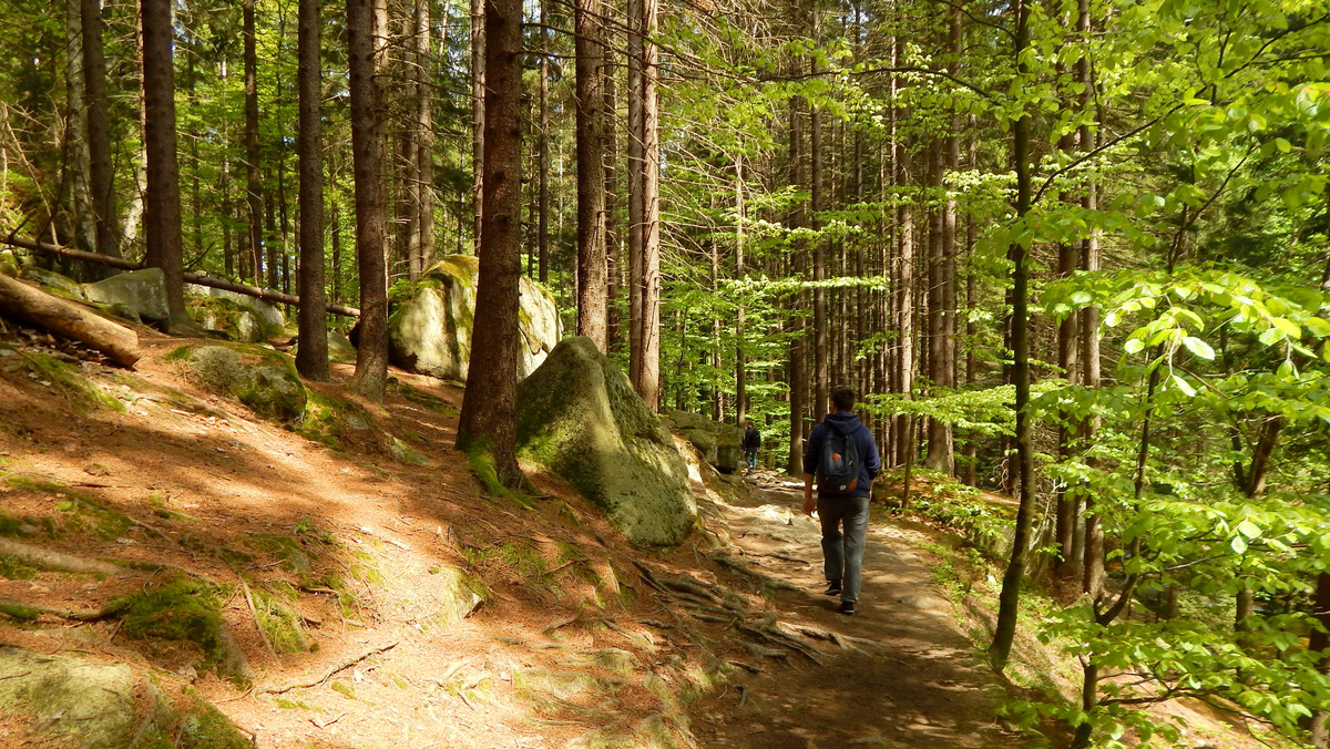 Karkonoski Park Narodowy. Remonty i zmiany na szlakach