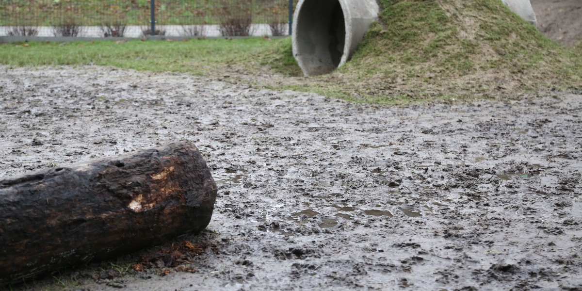 Miał być superpark dla psów za grube pieniądze. Jest błoto i kałuże