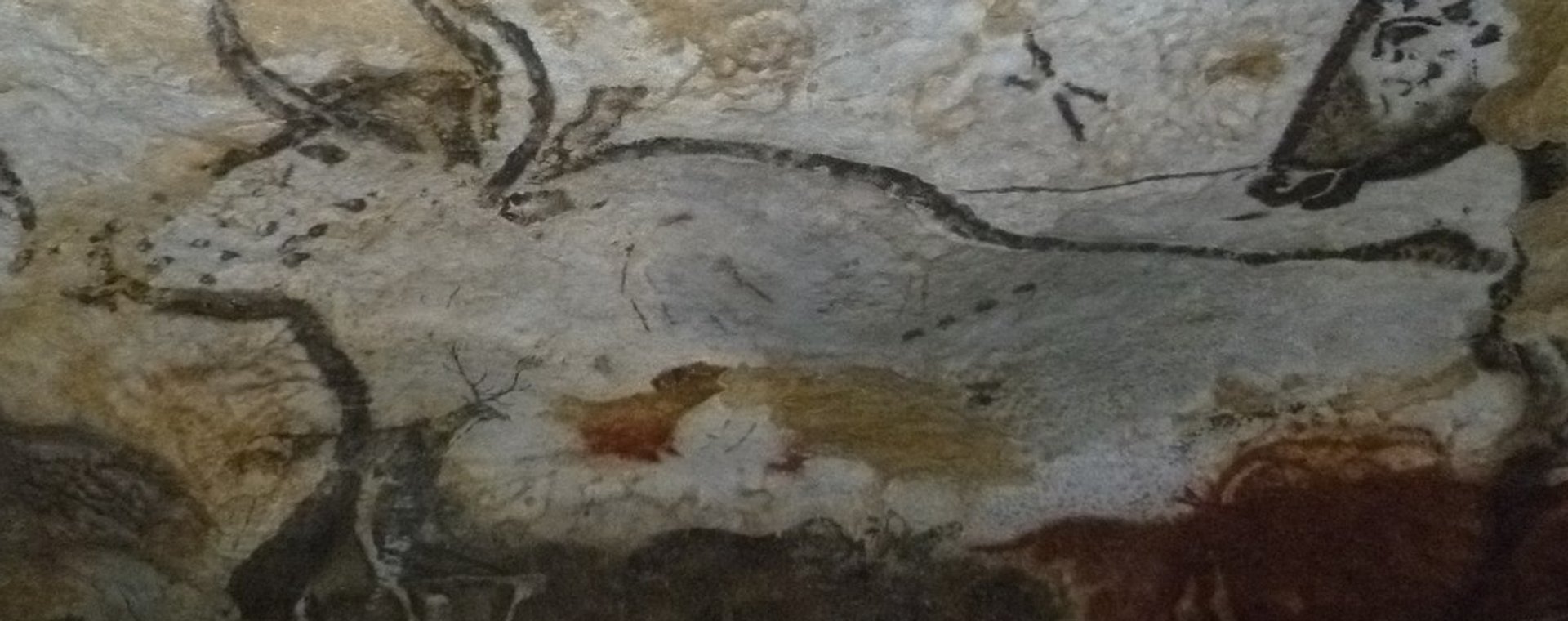 Malowidła w jaskini w Lascaux. Oto przykład pisma z epoki kamienia, które jako pierwszy rozszyfrował archeolog amator