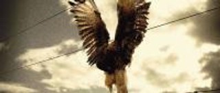 Nie przegap w TV: Rashomon na pustyni