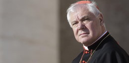 Niemiecki kardynał chwali Polaków. Ważne słowa