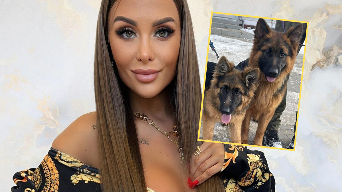 Aleksandra Szafrańska pozbyła się psów? "Królowa życia" reaguje na oskarżenia
