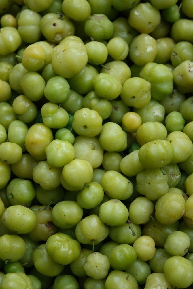Drvo daje male, okrugle, žućkastozelene plodove nalik na grožđe, a nazivaju se amla i smatraju se voćem