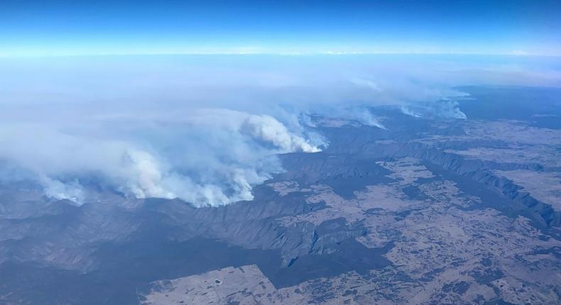 Dozens of families have lost loved ones in the bushfires, thousands of homes and farms have been gutted and swathes of the east coast are scarred charcoal-black