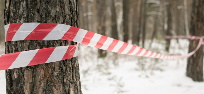 Okrutne morderstwo w Pleszewie. Zabili bez motywu, użyli wkrętaka