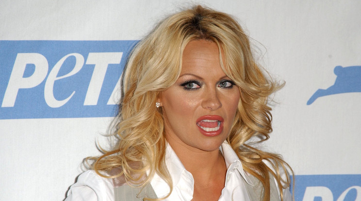 Pamela Anderson meglepődött a látottakon / Fotó: Northfoto