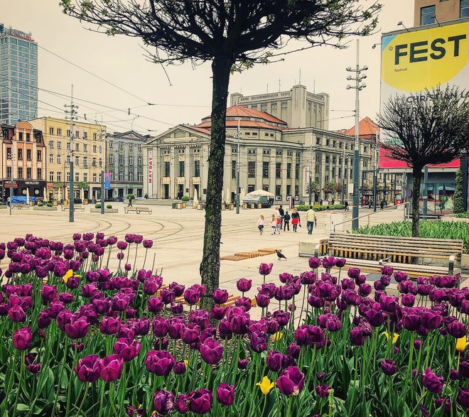 Rynek miejski położony w centrum Katowic - widok na Teatr Śląski im. Stanisława Wyspiańskiego