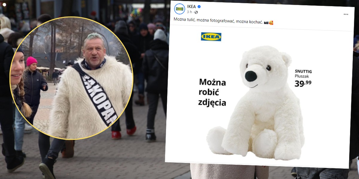 Nagranie z mężczyzną przebranym za niedźwiedzia obiegło sieć (instagram.com/hanna_turnau, facebook.com/IKEApl)