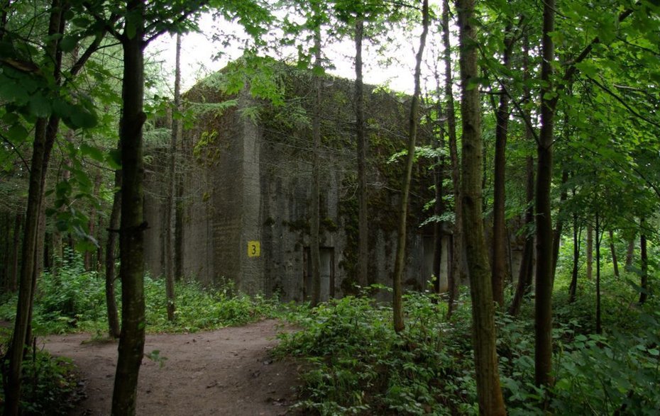 Jeden ze schronów betonowych na terenie Kwatery OKH w Mamerkach (fot. Janericloebe, domena publiczna)