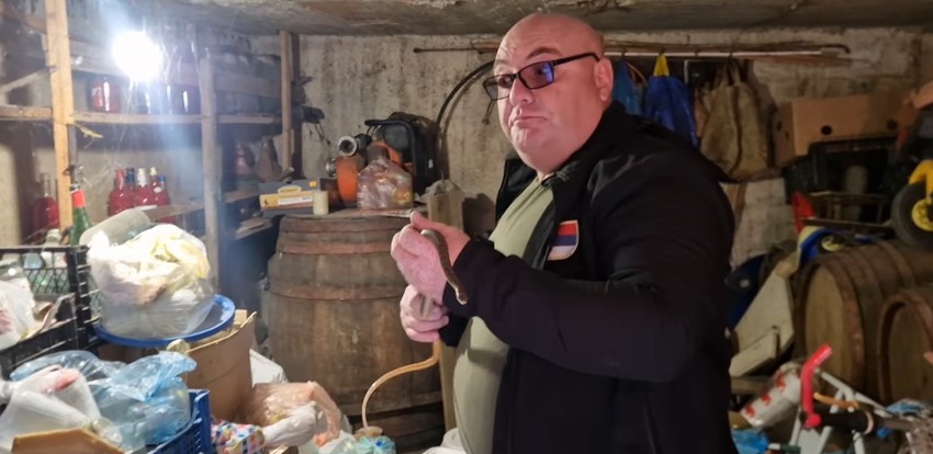 Uhvaćena zmija u Pirotu