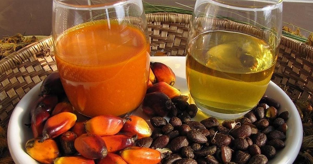 6 Amazing Beauty Benefits of Palm Kernel Oil