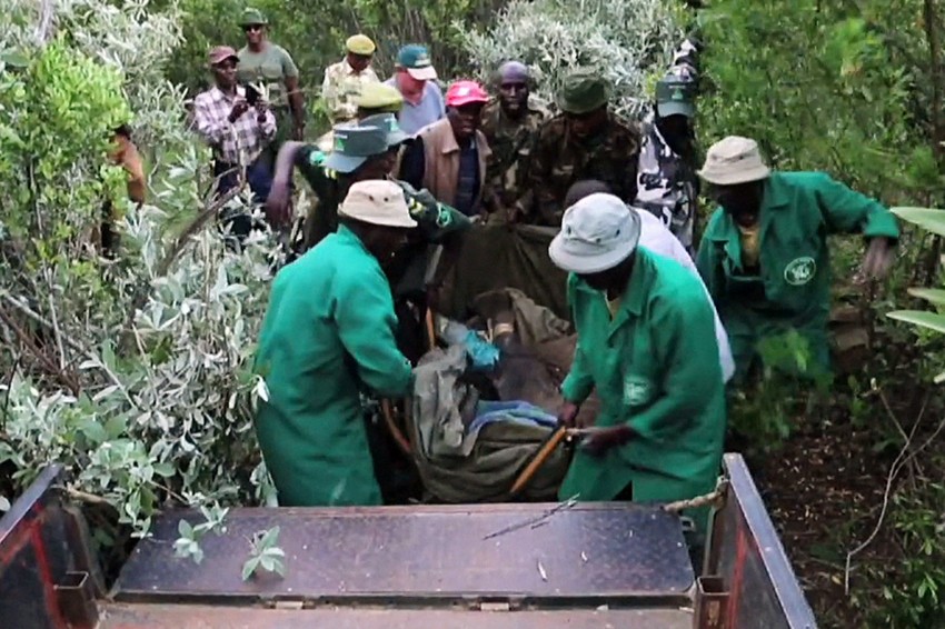 Srećom, spasilački tim je brzo reagovao i sklonio ga iz šume