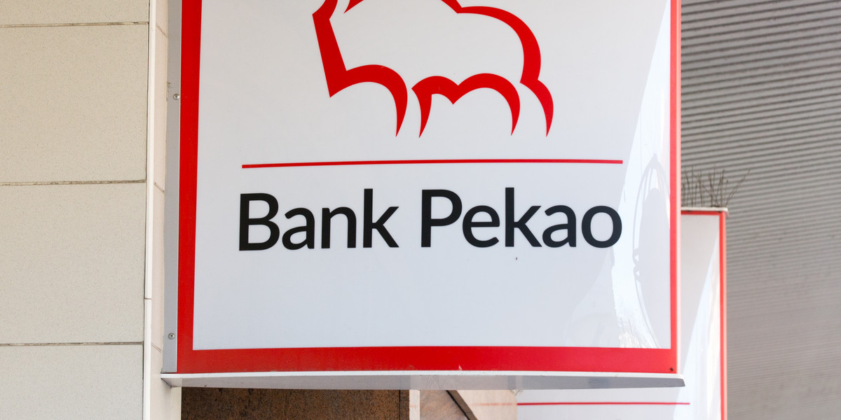 Polski sektor bankowy wykazuje relatywnie najlepsze przygotowanie kapitałowe i płynnościowe w obliczu zbliżającego się szoku gospodarczego. Skuteczna obrona polskiej gospodarki przed skutkami globalnego kryzysu 2008-2009 pokazała siłę polskich banków - zapewnia Jarosław Fuchs, wiceprezes Banku Pekao SA.