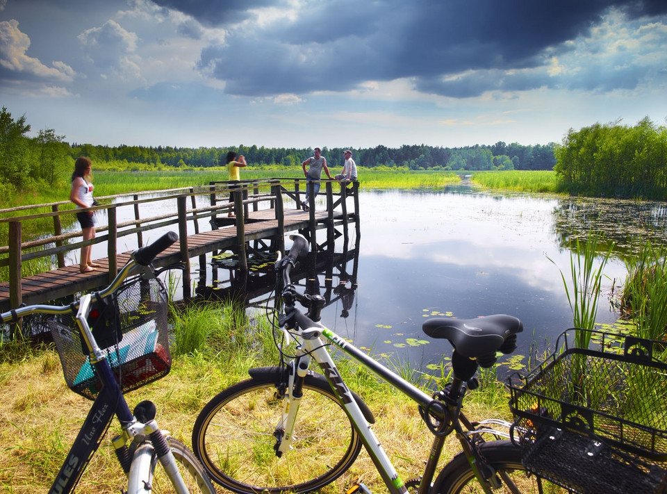 Staw Nowa Brzoza, Park Krajobrazowy "Lasy Nad Górną Liswartą"