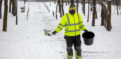 Nie uwierzycie, czym posypują tam zaśnieżone chodniki. Specjaliści od dróg reagują śmiechem