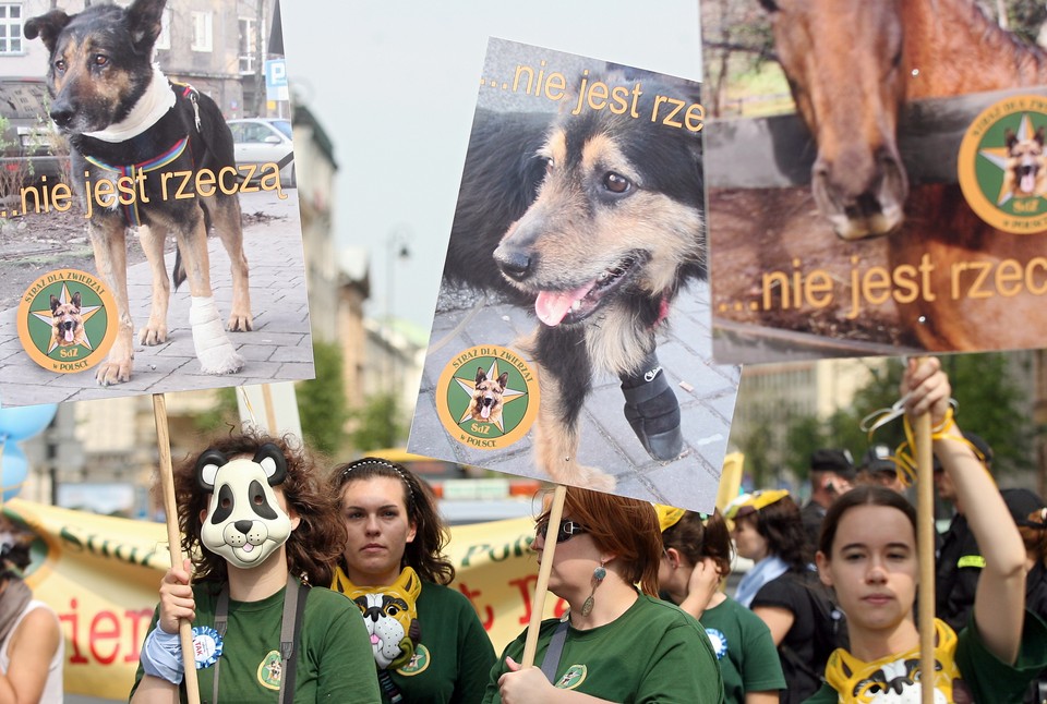 "Zwierzęta proszą o głos"