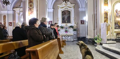 Pies chodzi do kościoła, od kiedy umarła jego pani