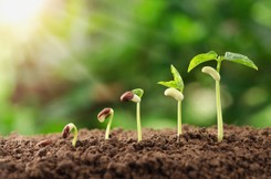 Ten eksperyment trwa ponad 140 lat i wciąż zaskakuje naukowców