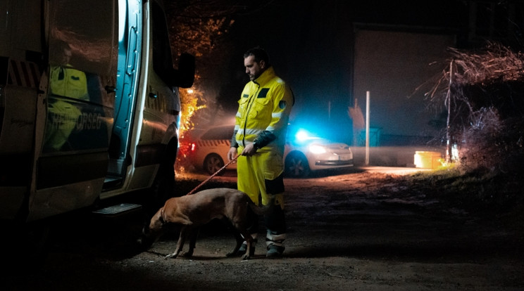 Keresőkutyát is bevetettek Albertirsán / Fotó: police.hu