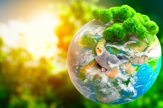 Synergia natury, nauki i najnowocześniejszych technologii