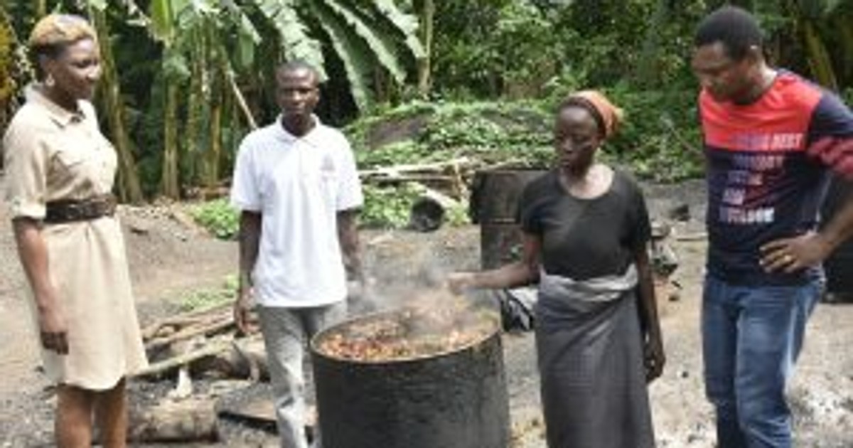 Dangote Cement to empower Osun communities via alternative fuel project - Vimarsana News
