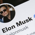 Akcje Tesli lecą na łeb na szyję, po tym jak Elon Musk kupił Twittera