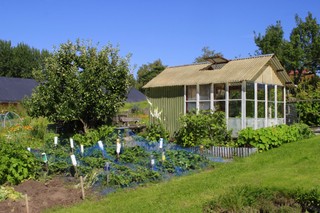 Ze sprzedaży ogródka działkowego trzeba rozliczyć się z fiskusem