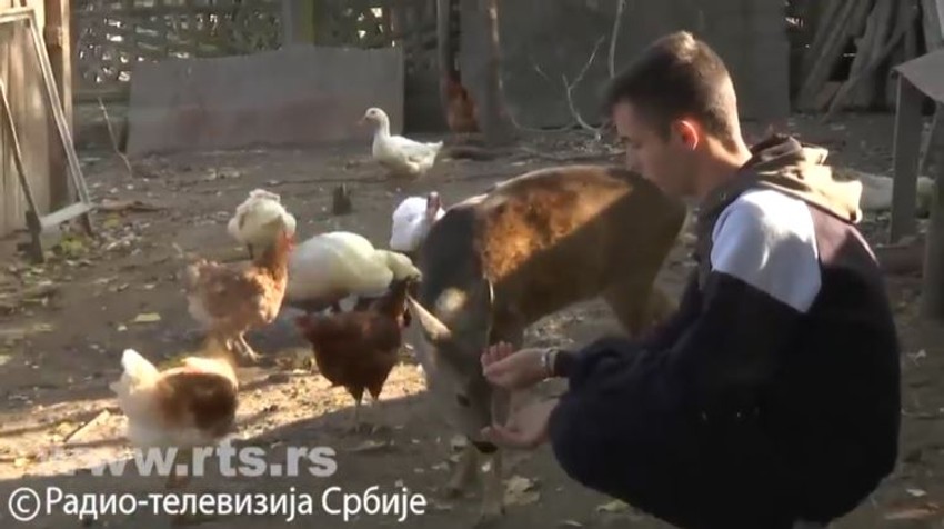 Mladen Filipović sa srnom Lenkom