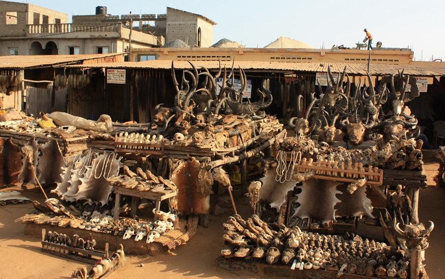 Targ okultystyczny Akodessawa w stolicy Togo w Afryce Zachodniej