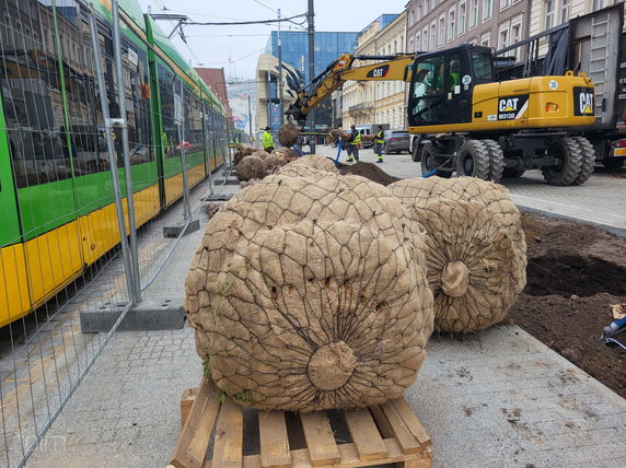 Na Al. Marcinkowskiego dotarł pierwszy transport nowych drzwi fot. PIM