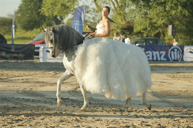 Książka Rusin ukończona - premiera jesienią