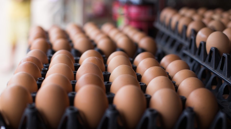 Salmonella na kurzej fermie w Świętokrzyskiem. Jest nakaz wycofania jajek