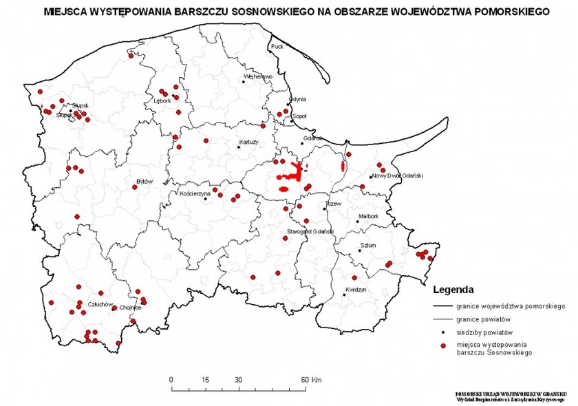 Mapa występowania barszczu Sosnowskiego na Pomorzu