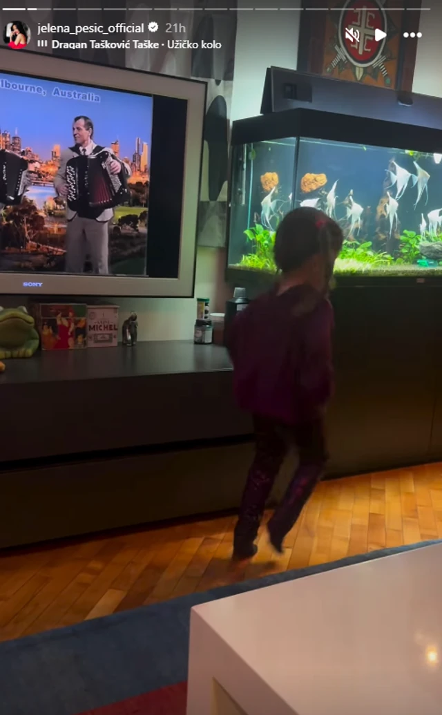 Preko celog zida dnevne sobe dva gigantska akvarijuma i ogroman televizor: Zavirite u dom Jelene Pešić i Mladena Vuletića!