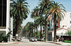 Beverly Hills na Krymie? Samozwańcze władze chcą mieć dzielnicę bogatych