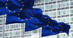 Euroentuzjazm stanów średnich. Wejście do Unii wsparło 77,6 proc. głosujących