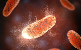 Groźne bakterie, które mogą zabić w kilkanaście godzin. Epidemiolog ostrzega