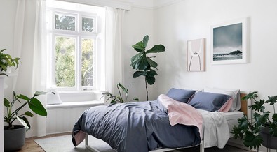 You can keep these 5 houseplants in your bedroom for peace of mind
