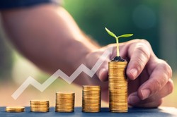 Emerytura rolnicza z KRUS 2024. Ile wyniesie dla rolnika z 25-letnim stażem ?