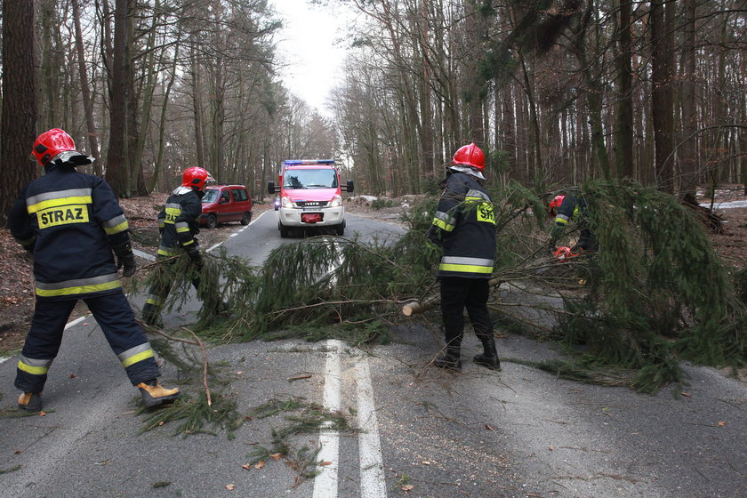 Straż pożarna sprzata drogi po wichurze